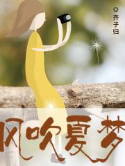 风吹一夏现场版