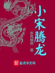 小宋腾龙txt