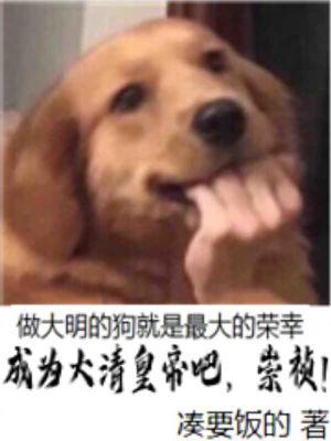 我成崇祯帝以后