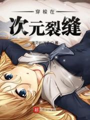 穿梭于次元之间来寻找乐趣是否搞错了什么?