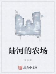 陆河新农村建设效果图