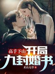 高手下山开局九封婚书(又名龙耀天下) 第237章