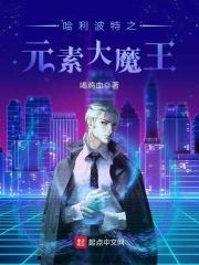 哈利波特之大魔法师