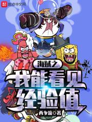 海贼之我能捡属性