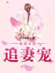 霸道总裁追妻记全文免费阅读