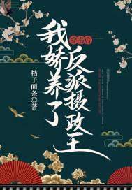 我娇养了反派摄政王第几章是大婚吉日洞房