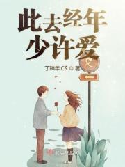 此去经年爱难忘免费阅读