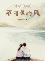 歌曲你是我遥不可及的人