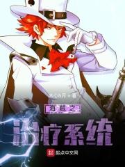 海贼之治疗系统txt