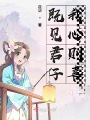 既见君子乐有仪