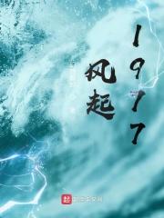 风起1981全文免费阅读