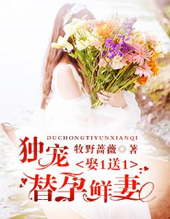 我和空姐荒岛余生免费阅读