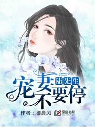 陆先生宠妻无敌