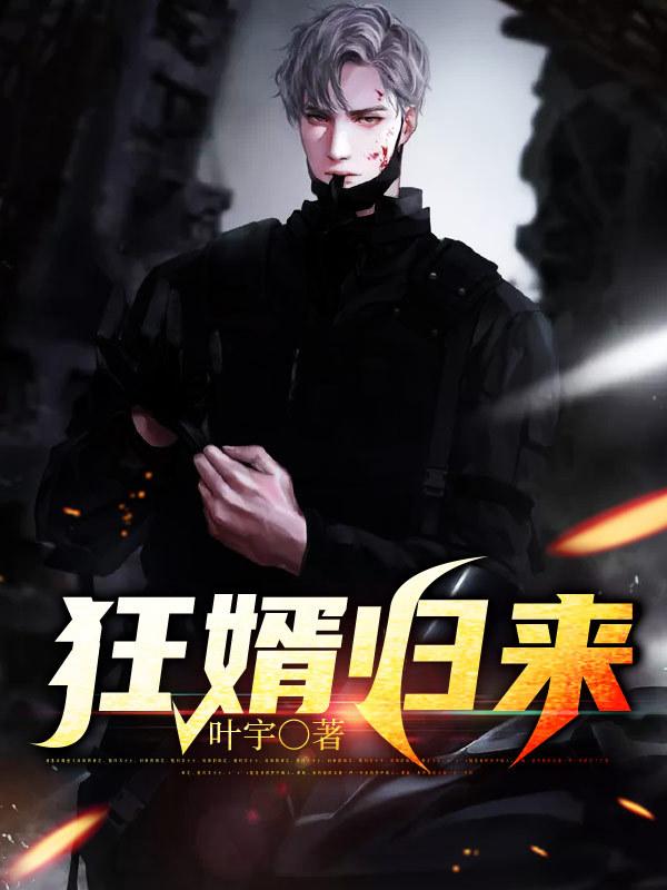 陈凡苏雪徐宏飞是什么