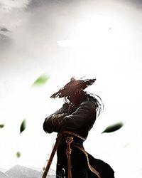 谁说骑士不能背刺 Poinya