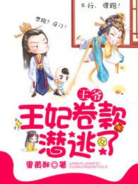 王妃卷款逃了免费