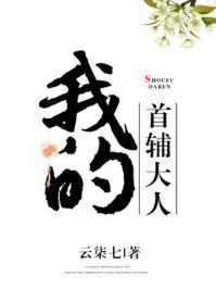 我的首辅大人全文阅读