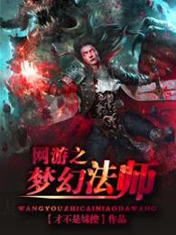网游之梦幻法师为啥看不了了