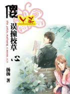 傻丫头误撞校草心什么意思