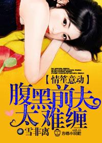 腹黑前夫请放手免费阅读