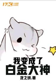 绝世全才高手排名