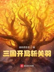 三国开局斩杀孙策免费