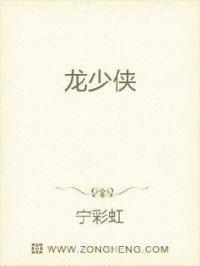 龙少侠动画