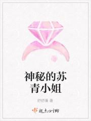 神秘女人 苏清荷