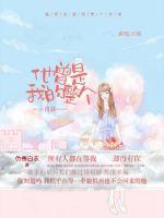 他曾是我的整个青春英文