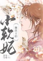 摄政王的小软妃番外