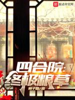 四合院终极粮草 狮子雪全文免费阅读