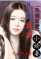 先做后爱总裁夜驯小娇妻
