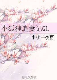 小狐狸追妻记gl百度