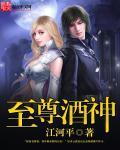 酒神至尊1996年30度