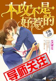 本攻不是娘娘完结了吗