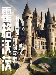 霍格沃茨之我的