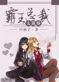 霸王总裁太傲娇gl