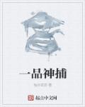 一品神捕全集免费观看