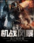 重生之机甲风暴