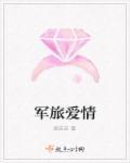 军旅爱情韩国无删减版大结局