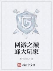 网游之巅峰王者