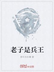 老子是兵王无防盗章节