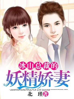 冰山总裁的宠妻