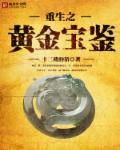 重生之黄金宝鉴全文阅读