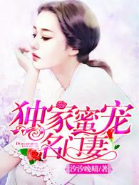 独家蜜宠名门妻(完整版) 汐汐晚晴
