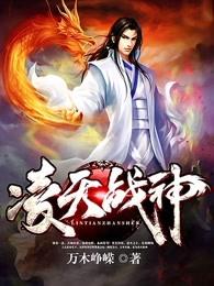 凌天战神叶峰几个老婆