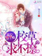 全球崩坏有声书源不懒惰