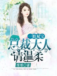 一胎双宝总裁大人夜夜欢3119集