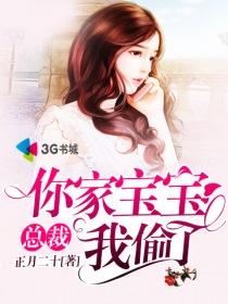 总裁偷了你一个宝宝