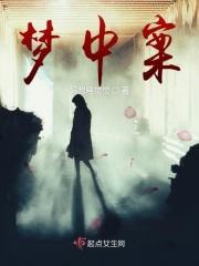 梦中凝案